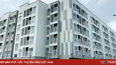 Pro rozvoj nájemního bydlení je zapotřebí dostatečně silný mechanismus.