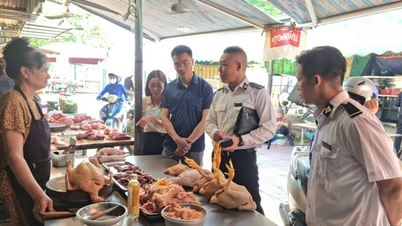 Inspeção do controle do abate de animais e da segurança alimentar nas comunas de Hoai Duc e Lien Minh.