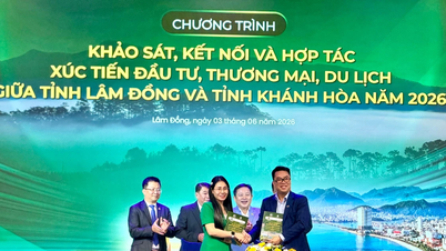 Lam Dongin ja Khanh Hòan maakunnat yhdistävät voimansa hyödyntääkseen ylängön ja rannikon kehityspotentiaalia.