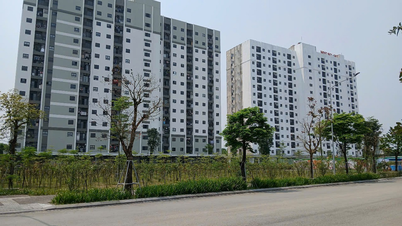 The military housing project includes approximately 377 units in Hue City.