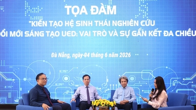 El Festival de Ciencia, Tecnología e Innovación de la Universidad de Educación de Da Nang fue un evento muy dinámico.