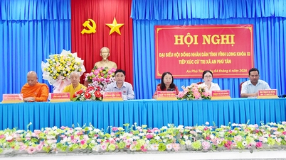 Delegasi No. 5 Majlis Rakyat Wilayah telah bertemu dengan pengundi di komun An Phu Tan.