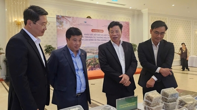 Die Provinzen Lam Dong und Khanh Hoa unterzeichnen ein Kooperationsabkommen zur Förderung von Investitionen, Handel und Tourismus.