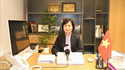 115 tahun sejak Presiden Ho Chi Minh pergi mencari jalan menyelamatkan negara: Jejak Hong Kong - Satu tempat, dua peristiwa penting.