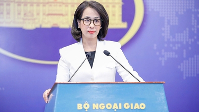 La investigación estadounidense sobre el trabajo forzoso no refleja la realidad en Vietnam.