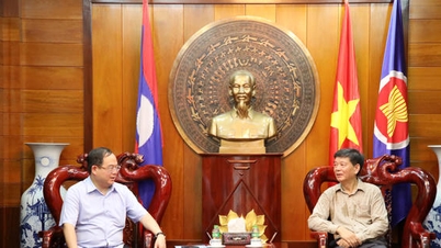 Setiausaha Jawatankuasa Parti Wilayah Quang Ninh telah mengadakan kunjungan hormat kepada Konsul Jeneral Vietnam di Luang Prabang (Laos).