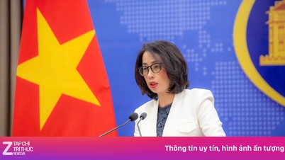 প্যারাসেল দ্বীপপুঞ্জে ডাচ জাহাজের কার্যকলাপ সংক্রান্ত বিবৃতির জবাব দিয়েছে ভিয়েতনাম।