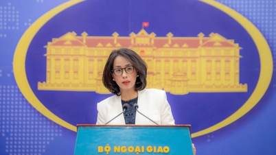 Vietnam udtaler sig om De Ruyter-skibets aktiviteter i området omkring Hoang Sa (Paracel)-øerne.
