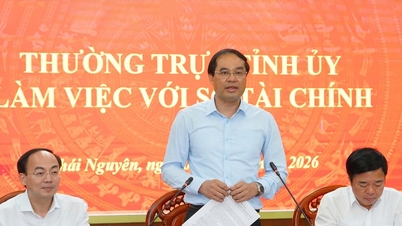 Thai Nguyen: Styrkelse af Finansministeriets rolle i rådgivning om økonomisk og budgetmæssig forvaltning.