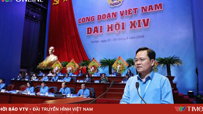 Het uitvoerend comité van de Vietnamese Algemene Confederatie van Arbeid, voor de 14e zittingsperiode, zal naar verwachting 145 leden tellen.