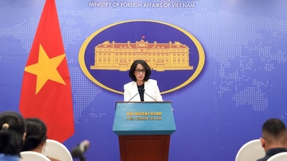 Tüm ülkeleri Vietnam'ın Hoang Sa (Paracel) Adaları üzerindeki egemenliğine saygı göstermeye çağırıyoruz.