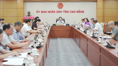 Kommentarer til 13 udkast til resolutioner, der skal forelægges for det provinsielle folkeråds ordinære midtårsmøde i 2026 - Cao Bang Online Newspaper
