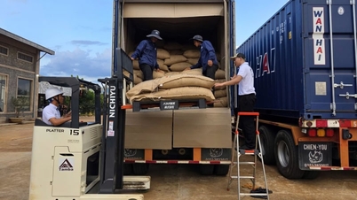 Investeringen in de ontwikkeling van de logistiek zullen de groei van belangrijke landbouwproducten stimuleren.