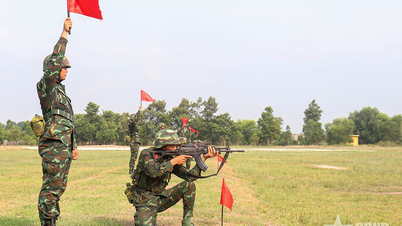 ৫ম ডিভিশনের নতুন নিয়োগপ্রাপ্তরা: ‘তিনটি বিস্ফোরণের’ পর পরিপক্কতার চিহ্ন