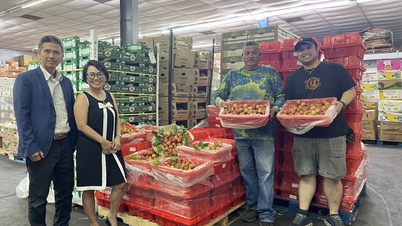 Vietnam kora szezonális friss licsijei meghódítják az amerikai piacot.