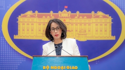 Vietnam reagerer på udtalelser fra Kina og Holland vedrørende Paraceløerne.