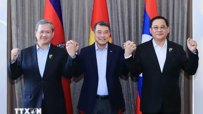 The Prime Ministers of Laos and Cambodia will soon visit Vietnam to attend the ASEAN Future Forum.
