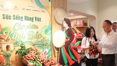 Multikanalforbindelse udvider outputtet for Bac Ninh litchi.