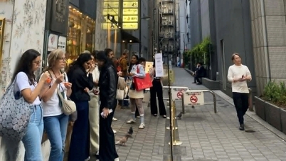Efter tsunamivarslen: Hvad siger vietnameserne i Japan?