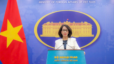 Vietnam anmoder alle lande om at respektere dets suverænitet over Paraceløerne.