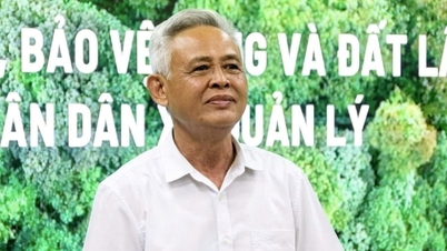 ការលុបបំបាត់​បញ្ហា​កកស្ទះ​សម្រាប់​ព្រៃឈើ​ជាង ៣ លាន​ហិកតា​ដែល​គ្រប់គ្រង​នៅ​កម្រិត​ឃុំ។