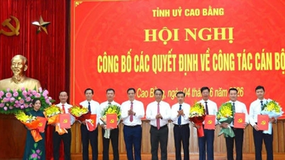 Partisekretæren for Dam Thuy kommune er blevet overført til direktør for Departementet for Kultur, Sport og Turisme i Cao Bang-provinsen.