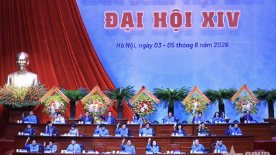 Den vietnamesiske fagforenings 14. kongres valgte den vietnamesiske fagforenings eksekutivkomité for den 14. periode.