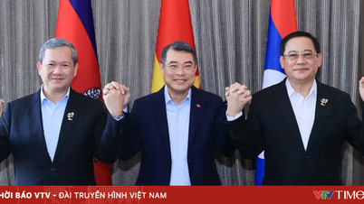 Premierministrene fra Laos og Cambodja vil aflægge officielle besøg i Vietnam og deltage i ASEAN Future Forum.