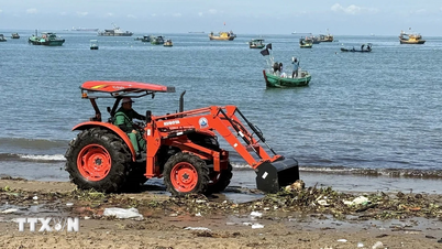 Ho Chi Minh City: Snesevis af tons vandhyacint og affald spildes på Bai Truoc-stranden.