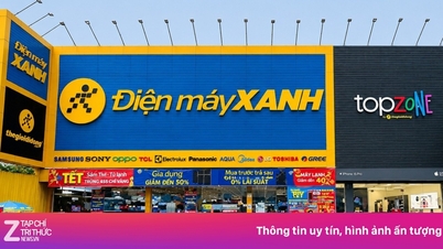 Dragon Capital menyertai IPO Dien May Xanh, yang bertujuan untuk membeli saham bernilai minimum $50 juta.