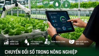 Huipputeknologiaa hyödyntävät maatalousyritykset löytävät kasvun ajureita digitaalisesta transformaatiosta.
