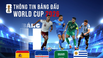 Informatie over Groep H van het FIFA Wereldkampioenschap 2026: waar elke fout duur zal uitpakken.
