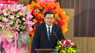 Pravomoc ředitele Univerzity Hue je svěřena prof. Dr. Nguyen Vu Quoc Huyovi.