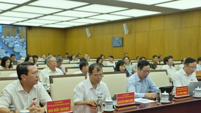2026年におけるハイフォン市の全レベルの人民評議会代表者に対する研修とスキル開発：新たな要件を満たすための、専門的で有能な人民評議会代表者チームの構築。