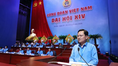 Den vietnamesiske arbejdsforbunds eksekutivkomité, 14. valgperiode, består af 145 medlemmer.