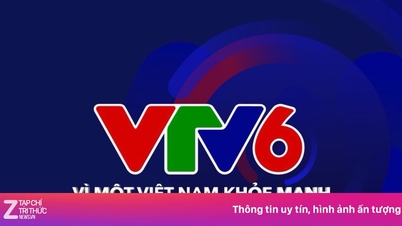 VTV6 revine ca canal sportiv.