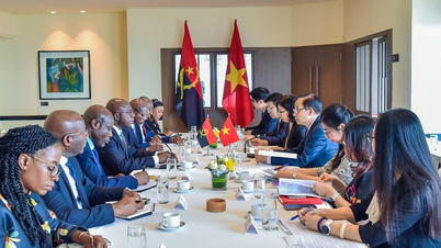 At gøre samarbejdet mellem Vietnam og Angola mere substantielt og effektivt.