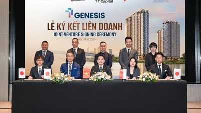 TT Capital gründet das Joint Venture TT Genesis und bereitet den Start eines neuen Projekts vor.