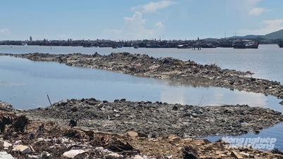 Quang Tri-provinsen vil dumpe mere end 1,23 millioner kubikmeter opmudret materiale i havet.
