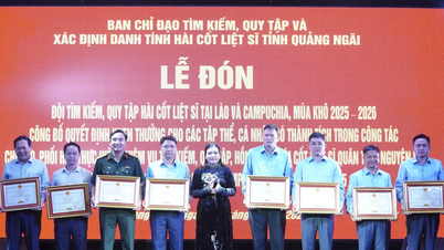Quang Ngai: 16 rester af faldne soldater indsamlet.