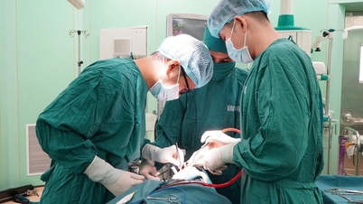 Ba Ria-Vung Tau vil blive en specialiseret medicinsk klynge i Ho Chi Minh City.