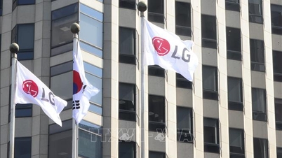 LG Group bygger sin første fabrik til fremstilling af halvledersubstrater i Vietnam.