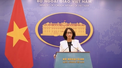 Vietnam reagerer på USA's foreslåede toldsatser relateret til tvangsarbejde.