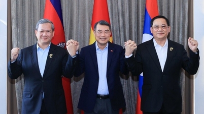 Premierzy Laosu i Kambodży złożą oficjalne wizyty w Wietnamie i wezmą udział w Trzecim Forum Przyszłości ASEAN.