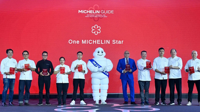 Vietnam har netop fået tildelt én Michelin-stjerne af 11 nye restauranter.