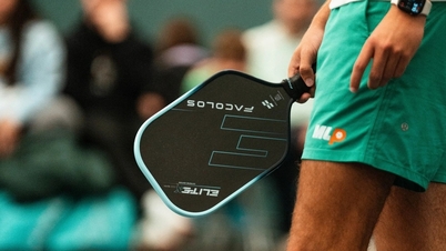 Et vietnamesisk mærkes Pickleball-ketchermodel er blevet forbudt fra konkurrence i USA.