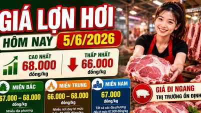 Svinekødspriser i dag, 5. juni: Nordvietnam fastholder topprisen på 68.000 VND/kg.