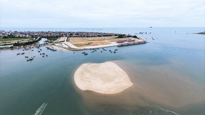 Dragage des ports de pêche de Ha Tinh : une solution optimale et durable est nécessaire.