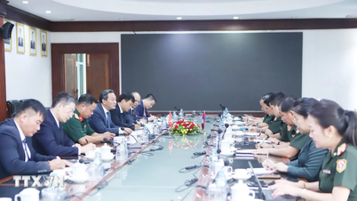 Vietnam og Laos implementerede effektivt den 500 dage lange kampagne for at søge efter resterne af faldne soldater.