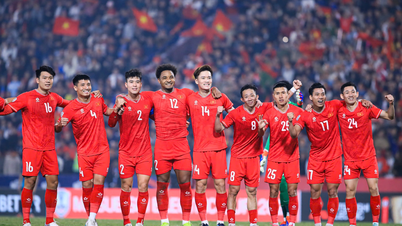 Det vietnamesiske landshold skal spille i ASEAN Cup 2026 på My Dinh Stadium.